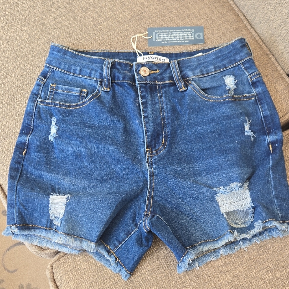 Classic Blue Denim Shorts